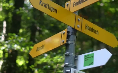 軟體測試QA大哉問系列-從另一種角度來論英文能力