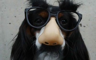 我這麼優秀,但是公司都不教我