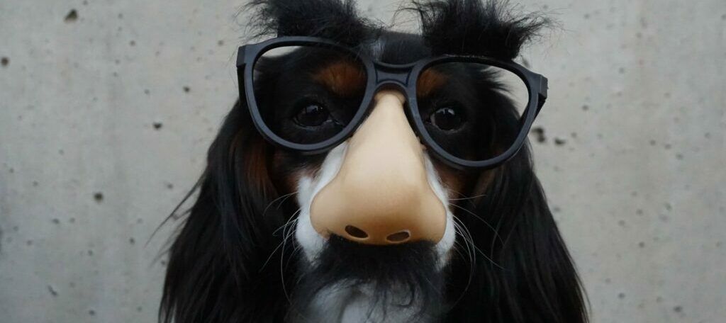 unsplash-image-wOHH-NUTvVc-1-1024×683-1-1024×456